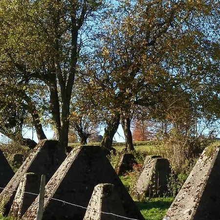 Eifel Eichen Nideggen