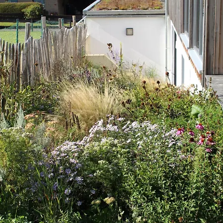 Eifel Eichen アパート *