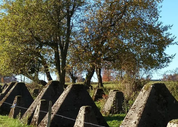 Eifel Eichen Nideggen