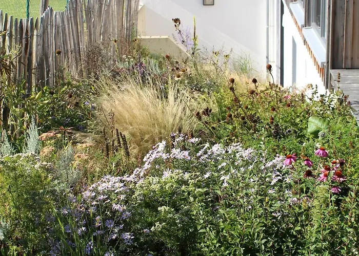 Eifel Eichen Apartament *